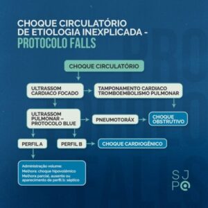 Protocolo FALLS - POCUS