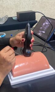 curso de simulação pocus sjpocus